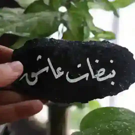 نبضات عاشق