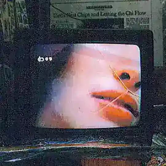 r. e altre t. Profile