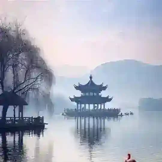 杭州•茶友汇报告榜