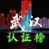 武汉出击榜（先锋）