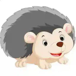 豪猪接码通知频道 Profile