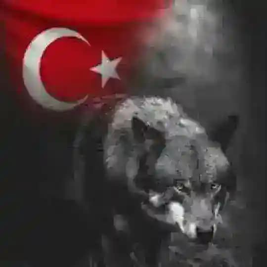 Harp Haber | İsrail İran ABD Ortadoğu Profile