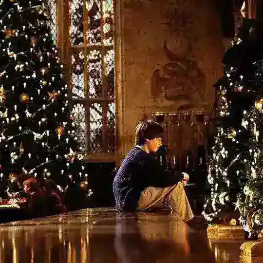 Harry Potter is my Life🔮🪄