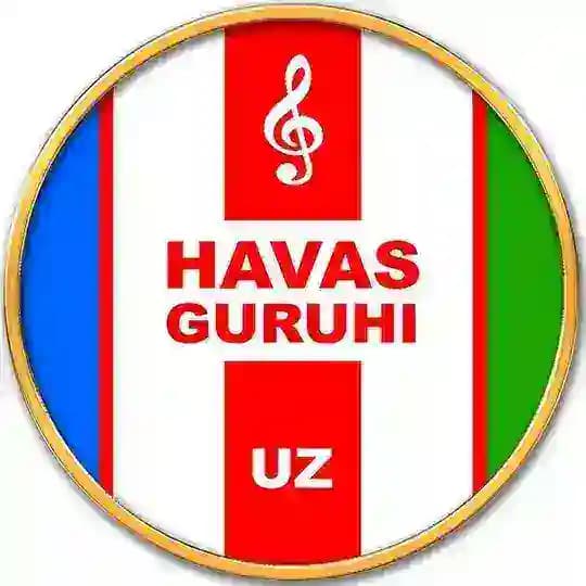 HAVAS GURUHI