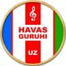 HAVAS GURUHI