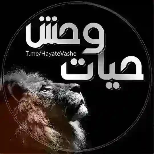🐆حیات وحش 🐅
