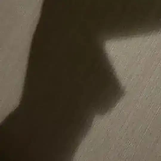 河北保定石家庄真实反馈榜
