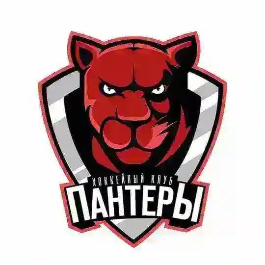 Хоккейная школа «Пантеры» г. Челябинск