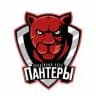 Хоккейная школа «Пантеры» г. Челябинск