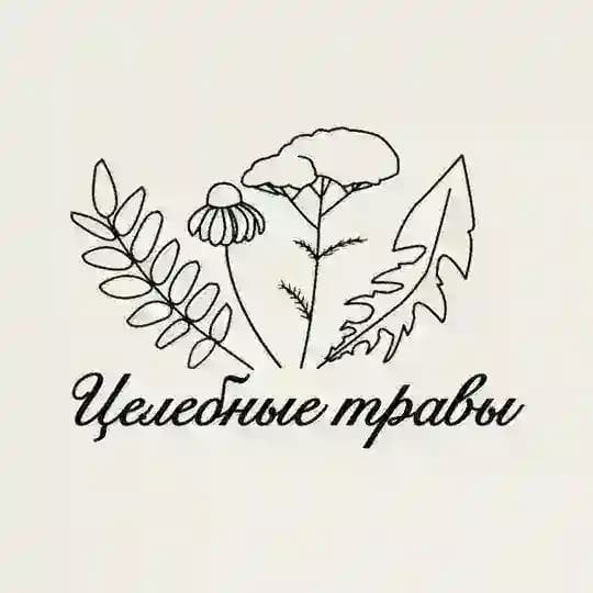 Целебные травы 🌿