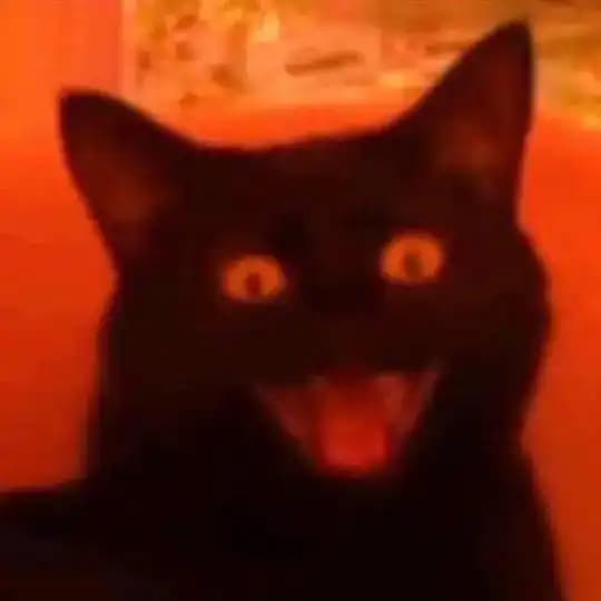 Hellcat Pataki #nokiaclub++