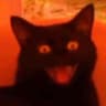 Hellcat Pataki #nokiaclub++