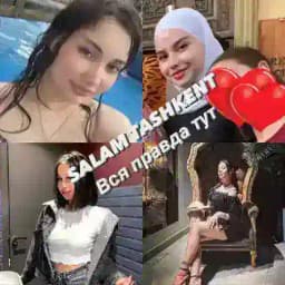 HELLO TASHKENT | SALAM TASHKENT Profile