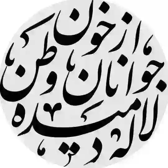 هندسه بورسی