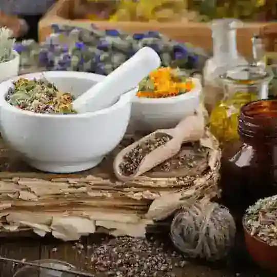 HERBS FROM NATURE πΏ