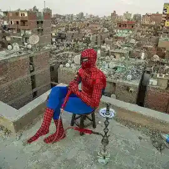 ميم شتبوستر