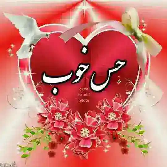 ✏ حس خوب ❧ Profile