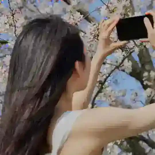 合肥学公开榜2.0