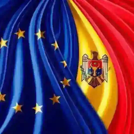 MAI și Serviciu Vamal (IGPF, IGP, IGSU, IGC, IGM, SPIA). Profile