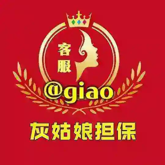 灰姑娘担保人员导航