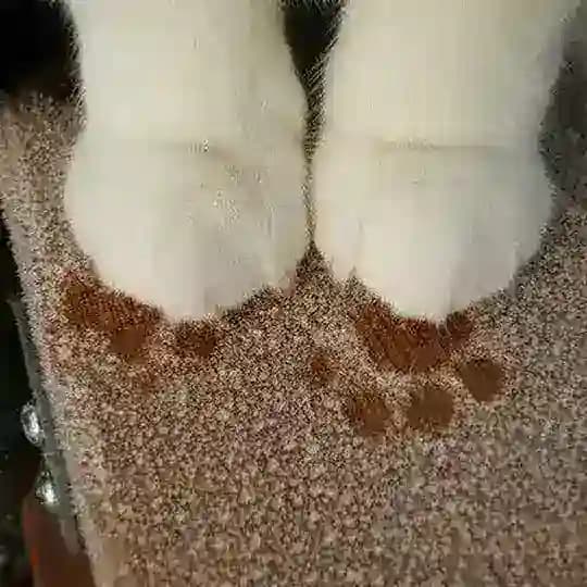 M͎