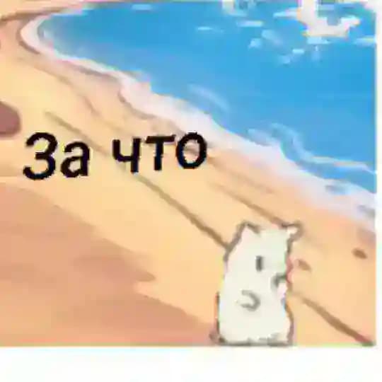 Котик запрещённый на территории российской федерации