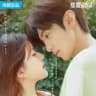 Hidden love hindi dubbed