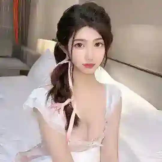 迪迪的日记本