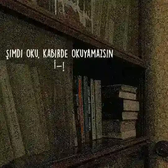 𝗛𝗶𝗸𝗮𝘆𝗲 𝗚ü𝗻𝗹üğü Profile