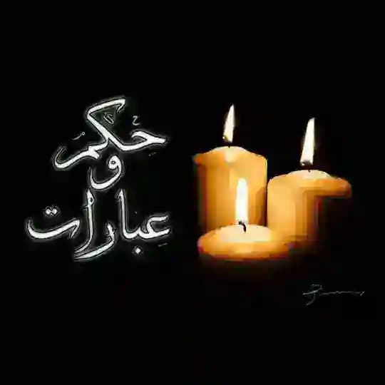 حكم وعبارات قصيرة
