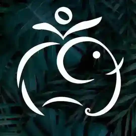 🇮🇳 Хинди - легко! Индия 🪔 Profile