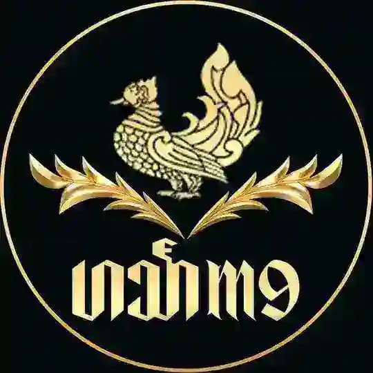 ဟင်္သာM9 ️