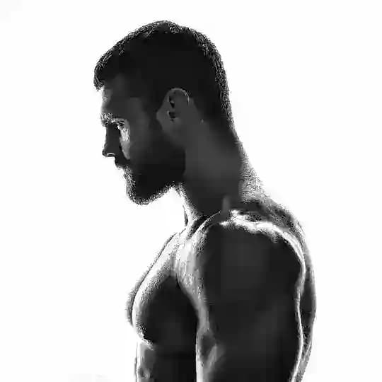 Hipertrofia Muscular Treino Musculação Profile