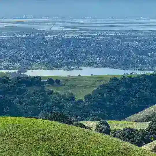 European and American life and food scenery Profile