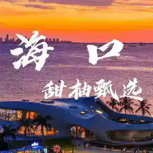 海口甜柚大圈甄选