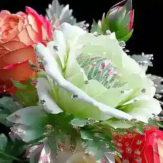 ဝတ္ထု လေးများစုစည်းရာ💙☘️