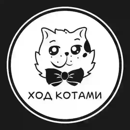 Ход Котами