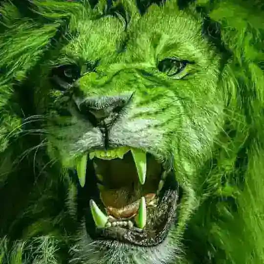 HOLLYWOOD HINDI DUBBED HD MOVIES Profile