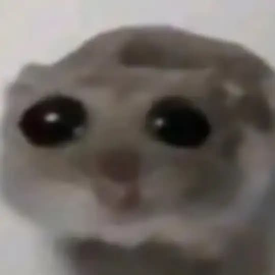хомячок🐹