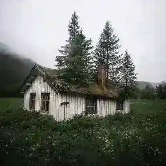 خونه شماره ۸
