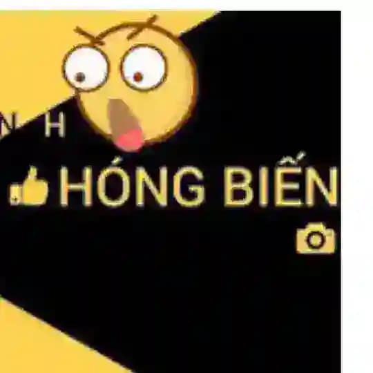 Hóng Biến 241