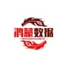 👑👑鸿蒙数据—你身边的专业数据规划师