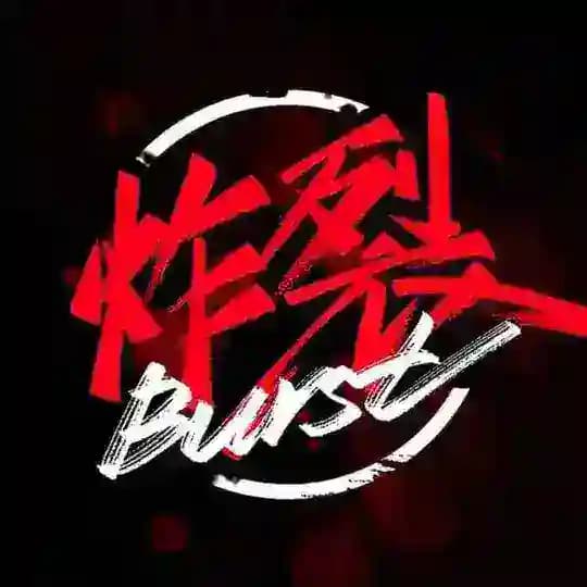 短信轰炸/电话轰炸/呼死你/轰炸机 Profile