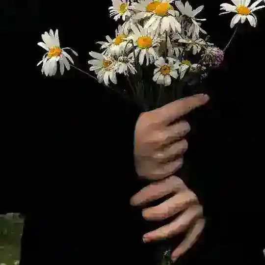 لـ حـُور🩵✨.