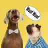 HOOOTDOGS