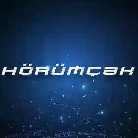 Hörümçək TV Profile