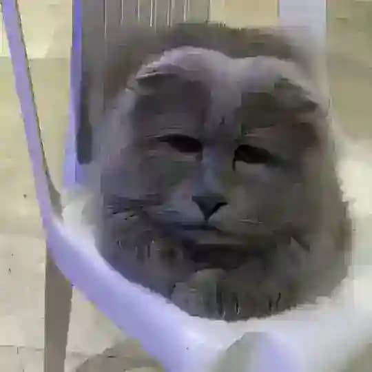 хотер флипает