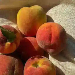 Hot girl summer🇺🇦🔥 Profile