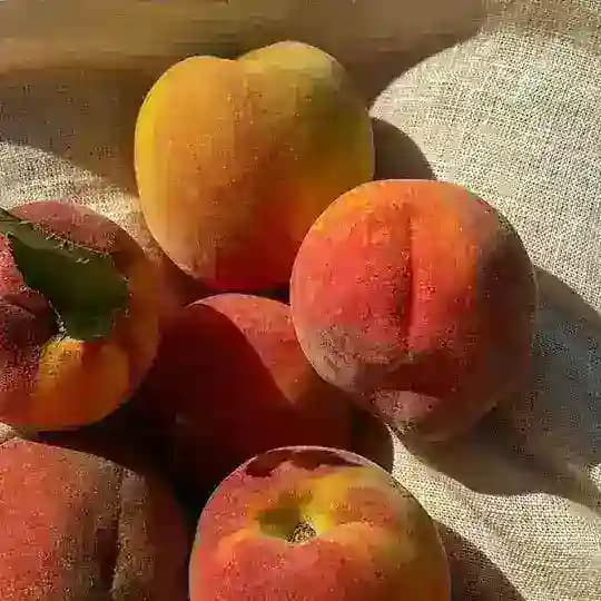 Hot girl summer🇺🇦🔥 Profile