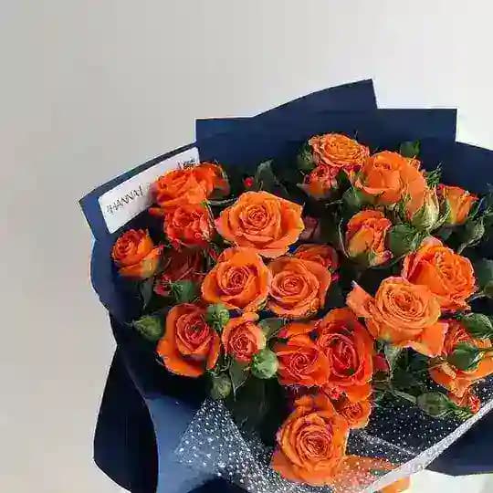πππ πππ
π βοΈ 2
